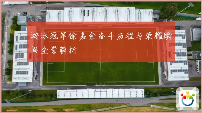 游泳冠军徐嘉余奋斗历程与荣耀瞬间全景解析